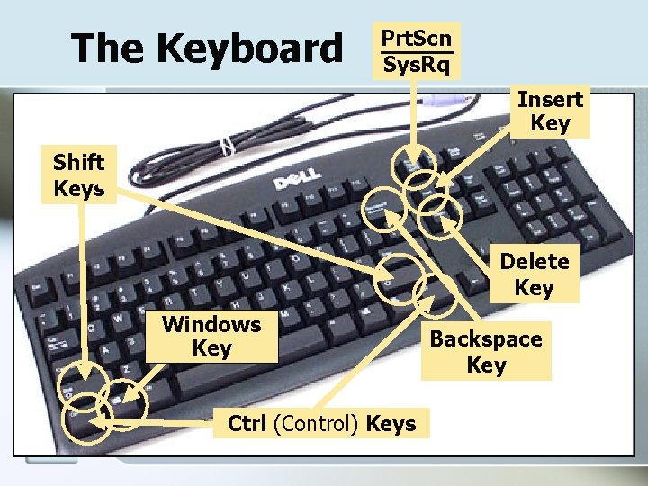The Keyboard Prt. Scn Sys. Rq Insert Key Shift Keys Delete Key Windows Key