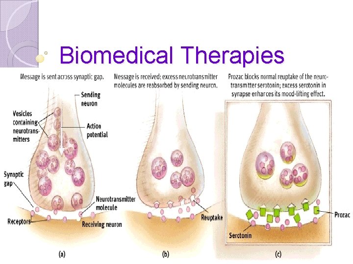 Biomedical Therapies 