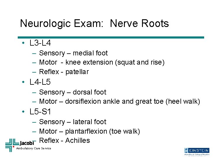 Neurologic Exam: Nerve Roots • L 3 -L 4 – Sensory – medial foot