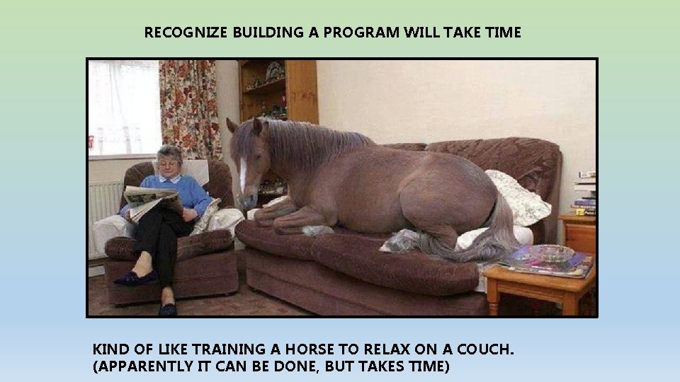 RECOGNIZE BUILDING A PROGRAM WILL TAKE TIME KIND OF LIKE TRAINING A HORSE TO