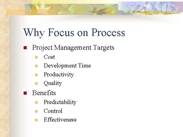 Why Focus on Process n Project Management Targets n n n Cost Development Time