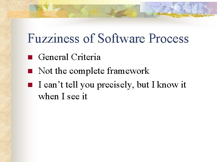 Fuzziness of Software Process n n n General Criteria Not the complete framework I