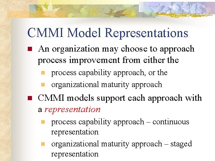 CMMI Model Representations n An organization may choose to approach process improvement from either