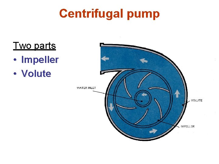 Centrifugal pump Two parts • Impeller • Volute 