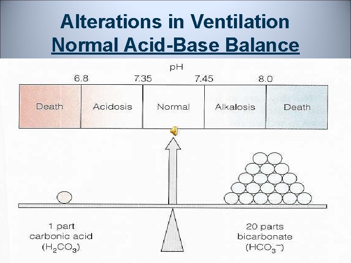 Alterations in Ventilation Normal Acid-Base Balance 