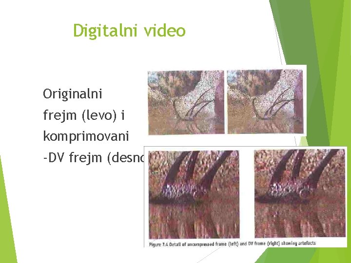 Digitalni video Originalni frejm (levo) i komprimovani -DV frejm (desno) 22 