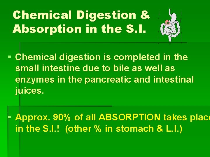 Chemical Digestion & Absorption in the S. I. § Chemical digestion is completed in