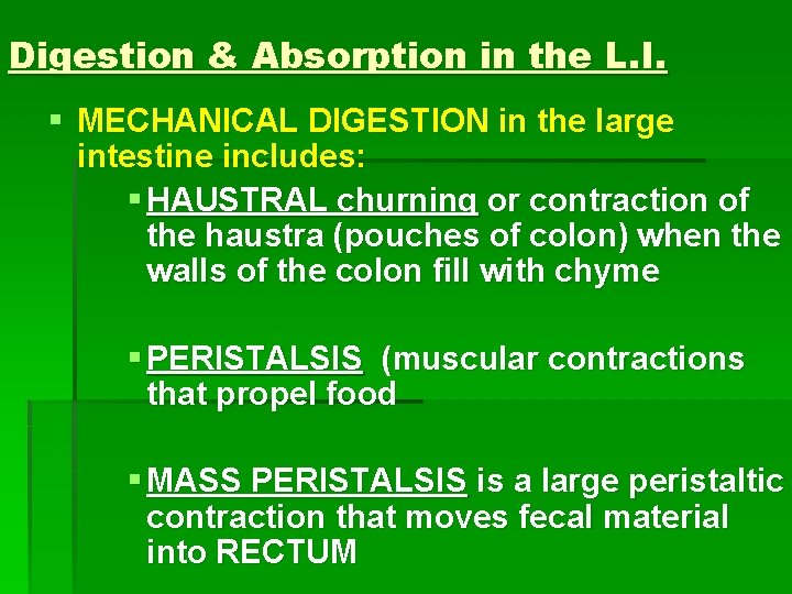 Digestion & Absorption in the L. I. § MECHANICAL DIGESTION in the large intestine