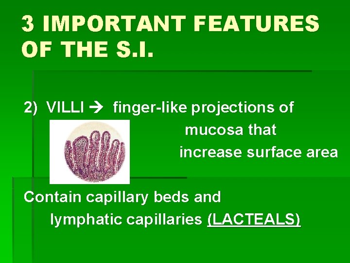 3 IMPORTANT FEATURES OF THE S. I. 2) VILLI finger-like projections of mucosa that