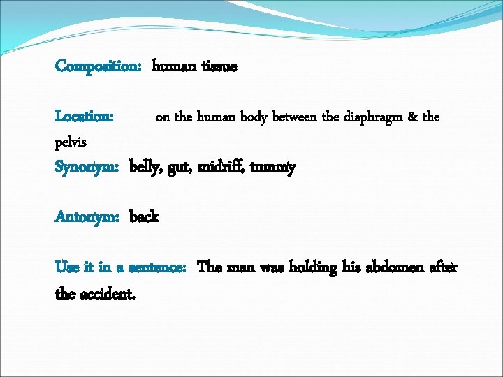 Composition: human tissue Location: pelvis on the human body between the diaphragm & the