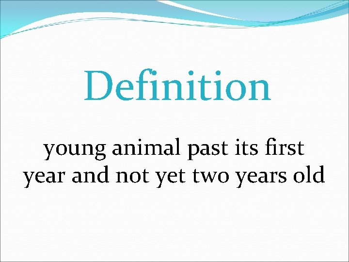 Definition young animal past its first year and not yet two years old 