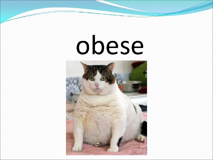 obese 