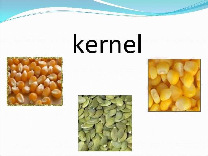 kernel 