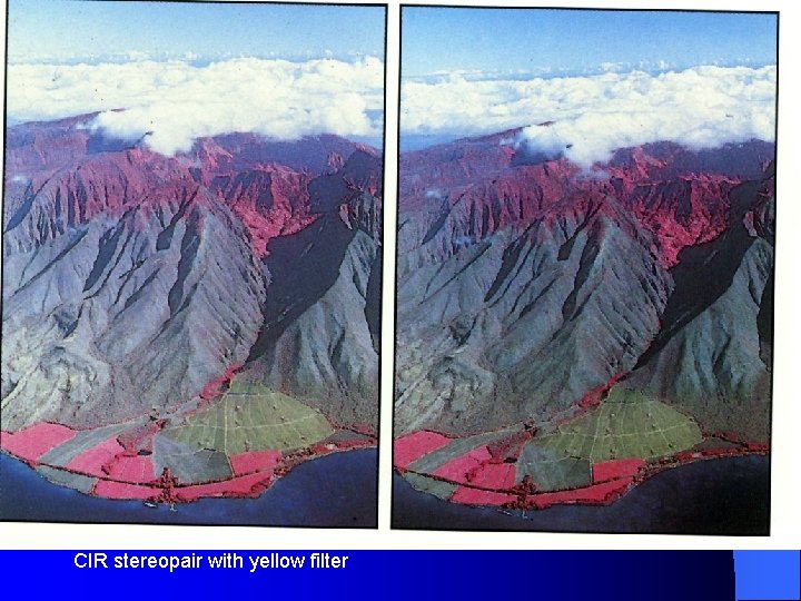 CIR stereopair with yellow filter 
