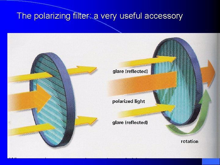 The polarizing filter: a very useful accessory 