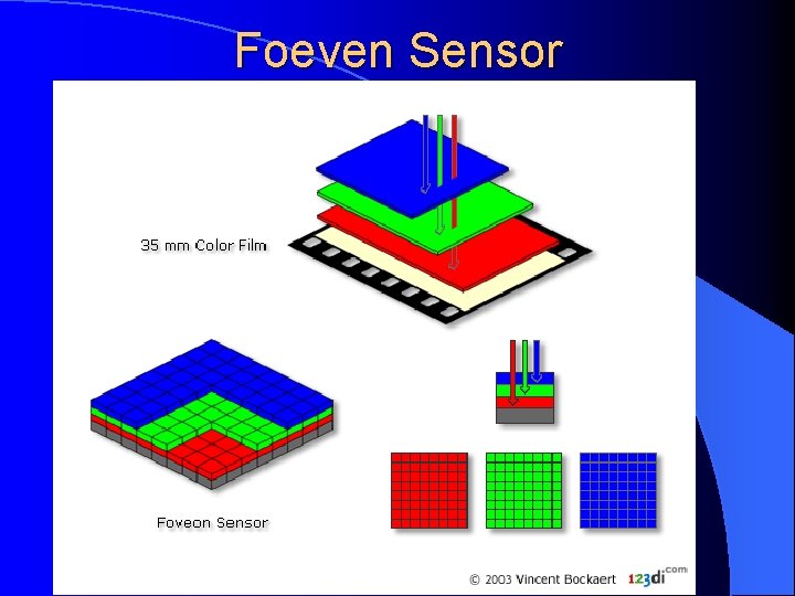 Foeven Sensor 