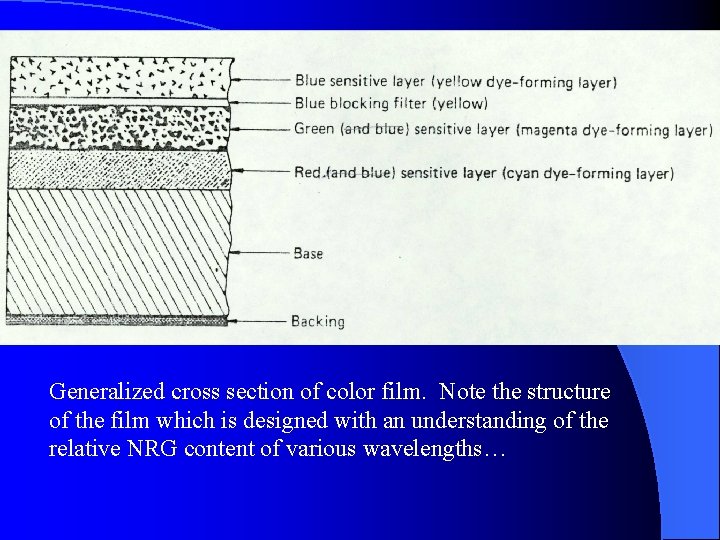 Generalized cross section of color film. Note the structure of the film which is