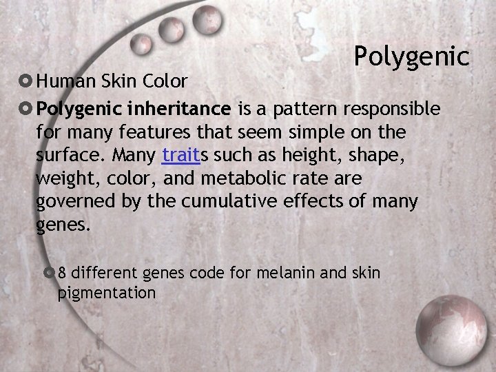 Polygenic Human Skin Color Polygenic inheritance is a pattern responsible for many features that