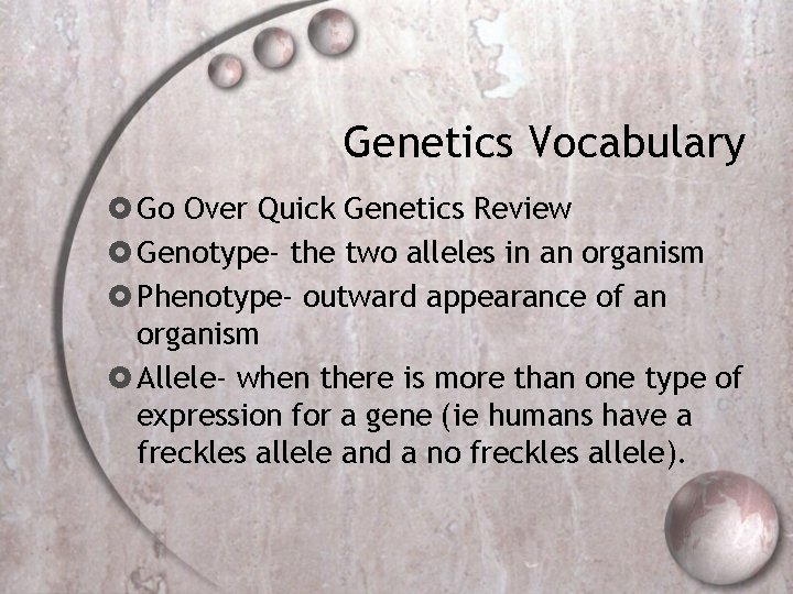 Genetics Vocabulary Go Over Quick Genetics Review Genotype- the two alleles in an organism