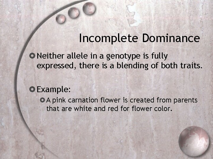 Incomplete Dominance Neither allele in a genotype is fully expressed, there is a blending