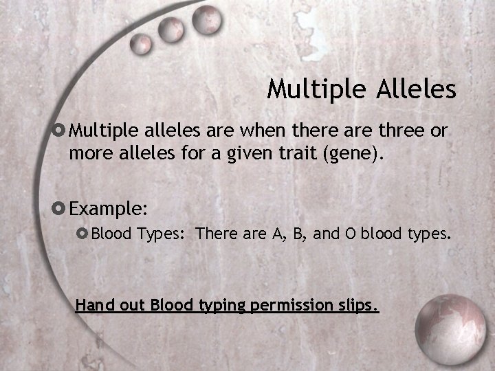 Multiple Alleles Multiple alleles are when there are three or more alleles for a