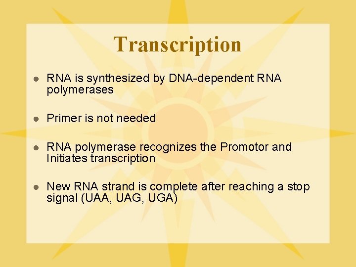 Transcription l RNA is synthesized by DNA-dependent RNA polymerases l Primer is not needed