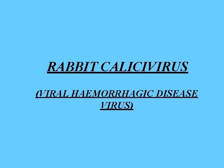RABBIT CALICIVIRUS (VIRAL HAEMORRHAGIC DISEASE VIRUS) 