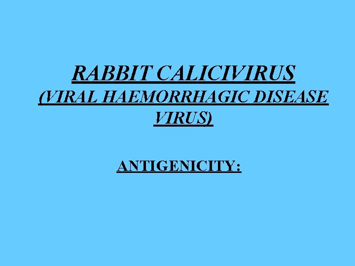 RABBIT CALICIVIRUS (VIRAL HAEMORRHAGIC DISEASE VIRUS) ANTIGENICITY: 