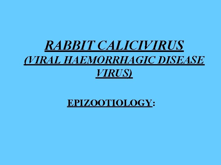 RABBIT CALICIVIRUS (VIRAL HAEMORRHAGIC DISEASE VIRUS) EPIZOOTIOLOGY: 