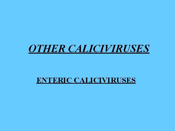 OTHER CALICIVIRUSES ENTERIC CALICIVIRUSES 