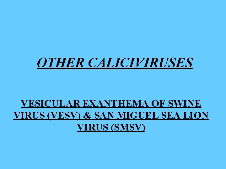 OTHER CALICIVIRUSES VESICULAR EXANTHEMA OF SWINE VIRUS (VESV) & SAN MIGUEL SEA LION VIRUS