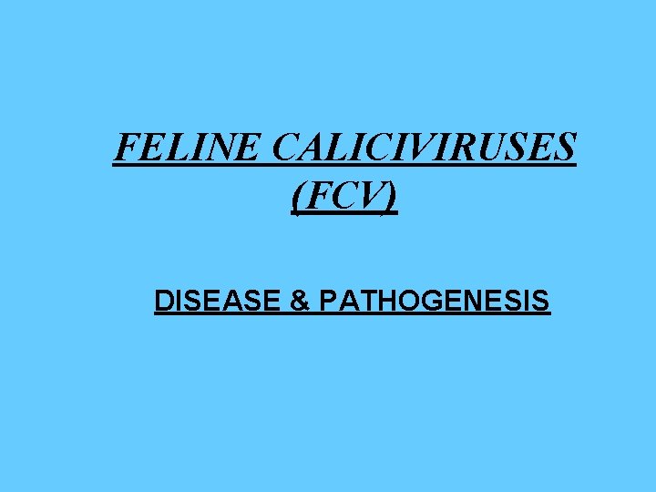 FELINE CALICIVIRUSES (FCV) DISEASE & PATHOGENESIS 