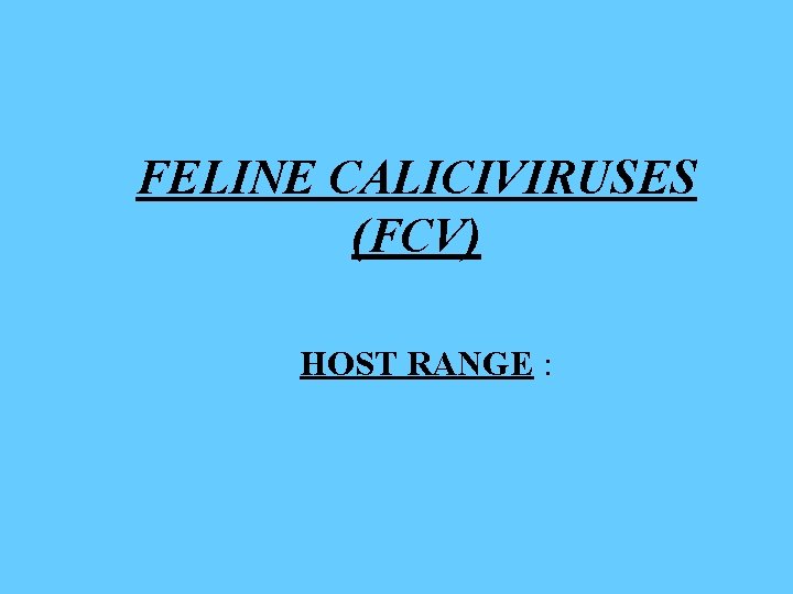 FELINE CALICIVIRUSES (FCV) HOST RANGE : 