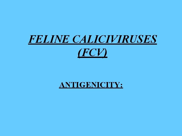 FELINE CALICIVIRUSES (FCV) ANTIGENICITY: 