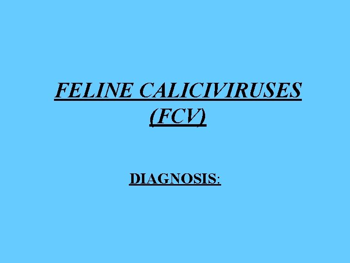 FELINE CALICIVIRUSES (FCV) DIAGNOSIS: 