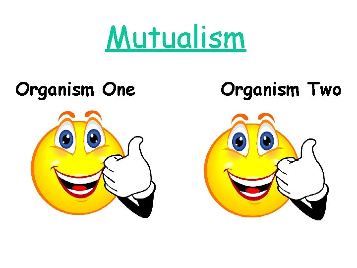Mutualism Organism One Organism Two 