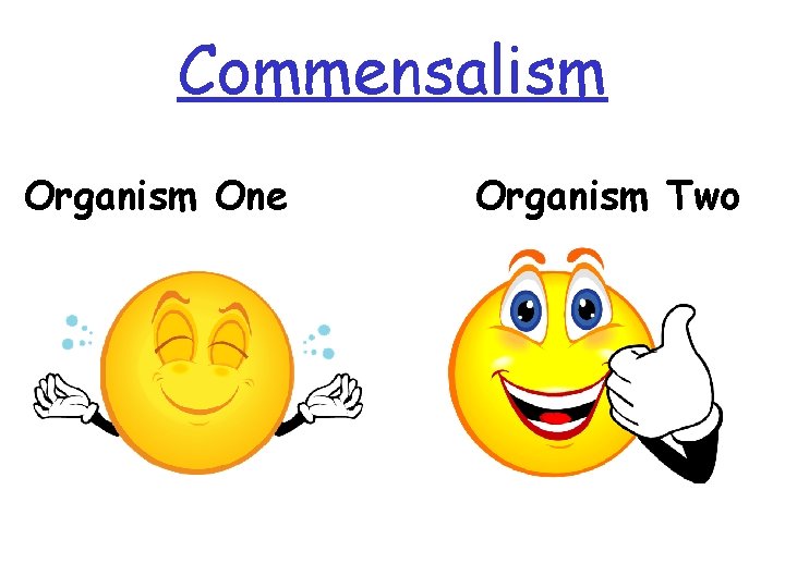 Commensalism Organism One Organism Two 