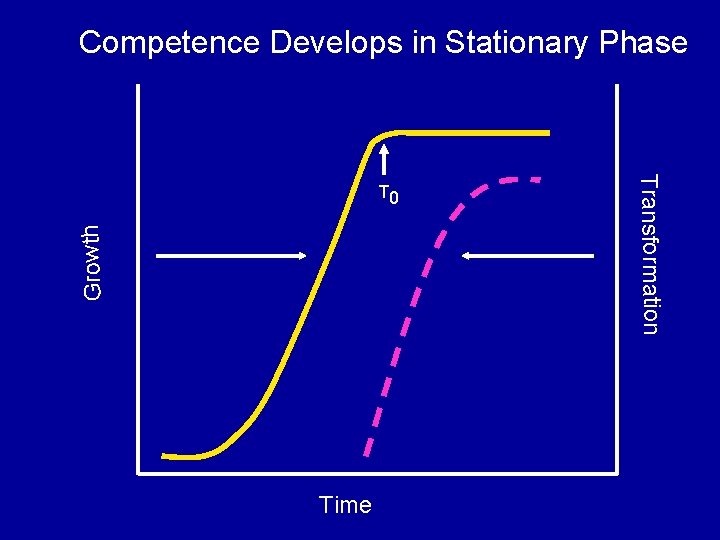 Competence Develops in Stationary Phase Growth Time Transformation T 0 