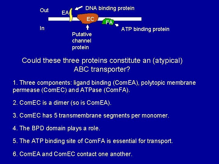 Out EA DNA binding protein EC In FA Putative channel protein ATP binding protein