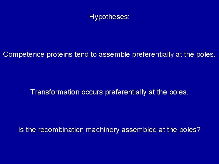 Hypotheses: Competence proteins tend to assemble preferentially at the poles. Transformation occurs preferentially at