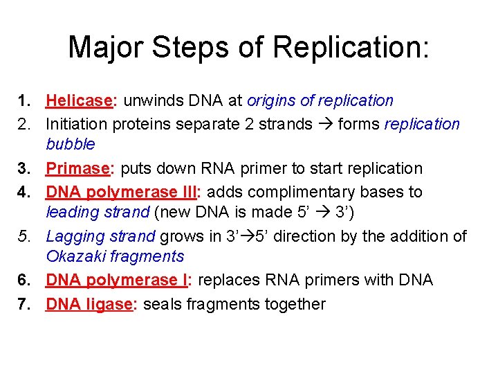 Major Steps of Replication: 1. Helicase: unwinds DNA at origins of replication 2. Initiation
