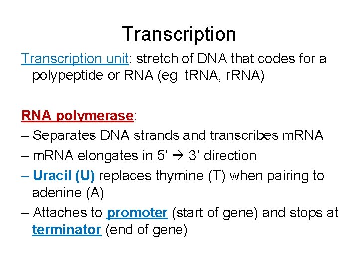 Transcription unit: stretch of DNA that codes for a polypeptide or RNA (eg. t.