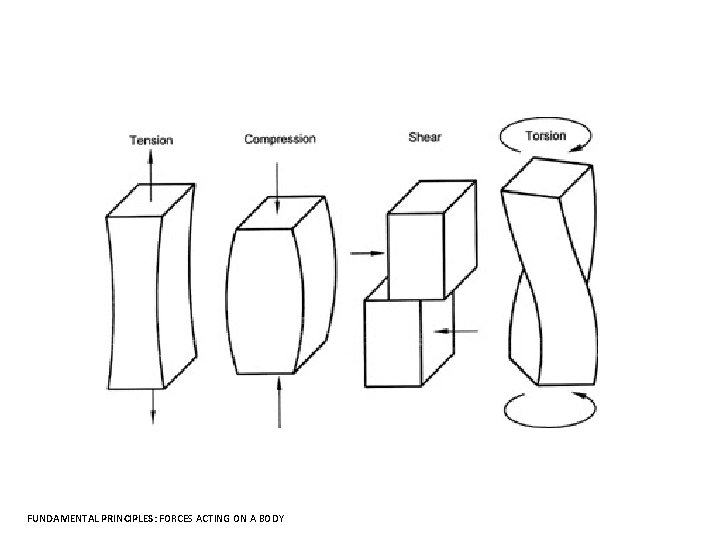 FUNDAMENTAL PRINCIPLES: FORCES ACTING ON A BODY 