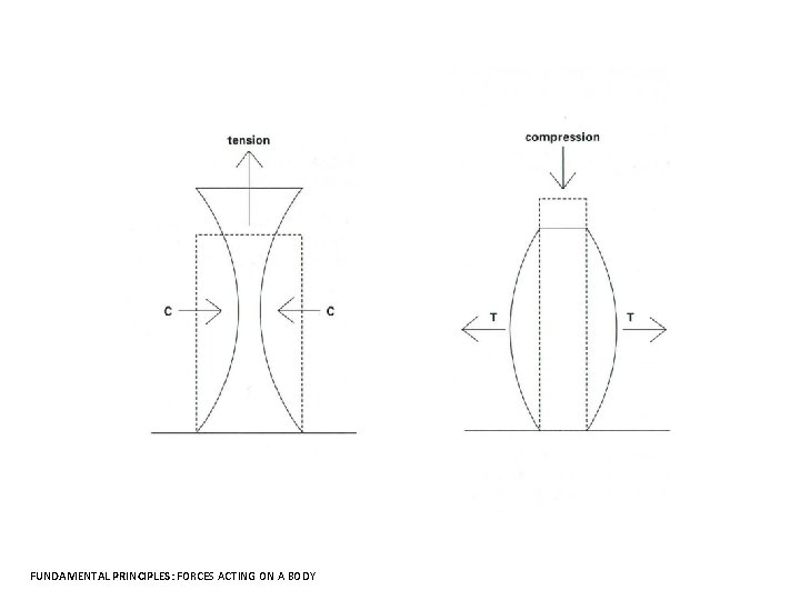 FUNDAMENTAL PRINCIPLES: FORCES ACTING ON A BODY 