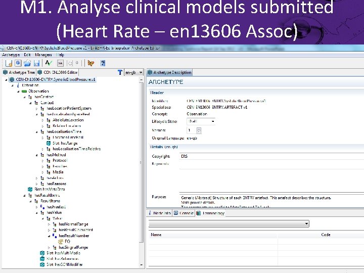 M 1. Analyse clinical models submitted (Heart Rate – en 13606 Assoc) 