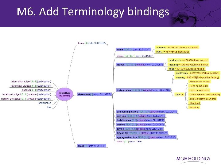 M 6. Add Terminology bindings 