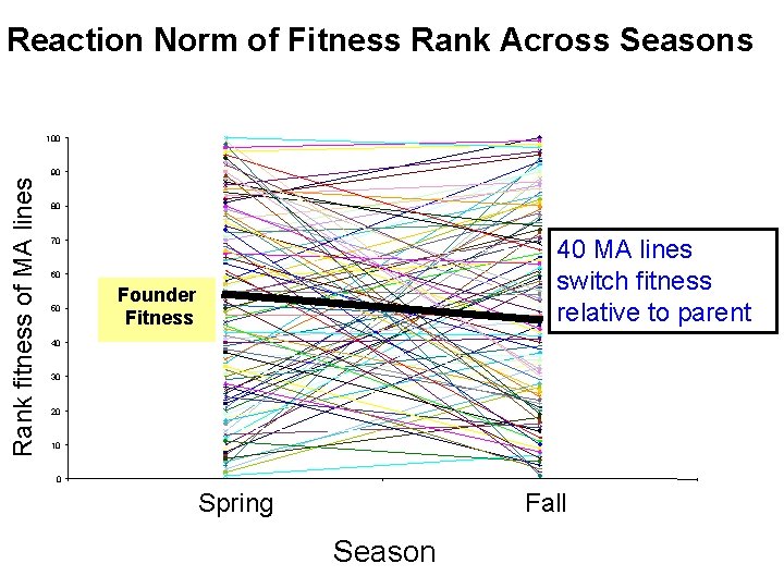 Reaction Norm of Fitness Rank Across Seasons Rank fitness of MA lines 100 90