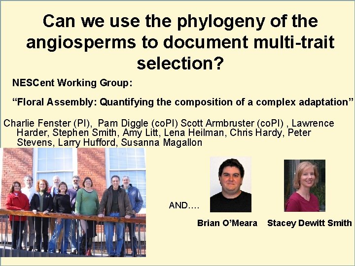 Can we use the phylogeny of the angiosperms to document multi-trait selection? NESCent Working