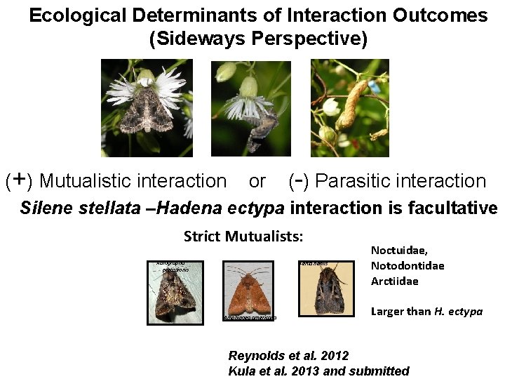 Ecological Determinants of Interaction Outcomes (Sideways Perspective) (+) Mutualistic interaction or (-) Parasitic interaction