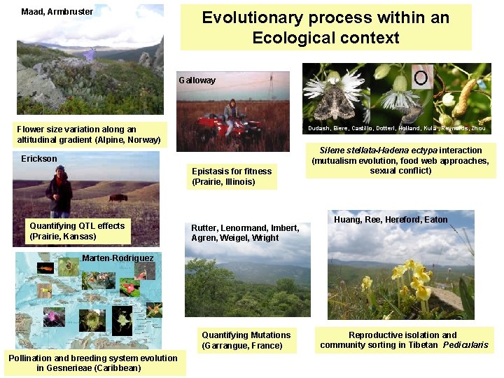 Maad, Armbruster Evolutionary process within an Ecological context Galloway Dudash, Biere, Castillo, Dotterl, Holland,